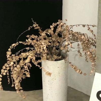 兽设森林场景设计兽圈群